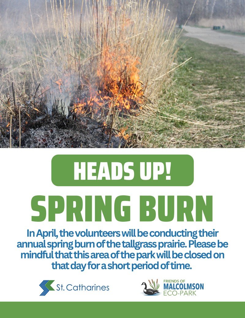 Spring Burn Malcolmson Eco-Park Native Plant Sale