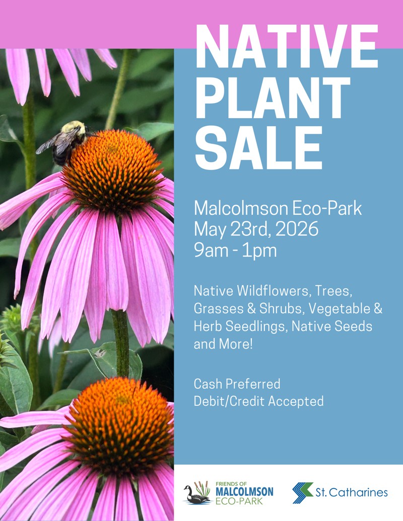 Plant Sale 2026 Malcolmson Eco-Park Native Plant Sale