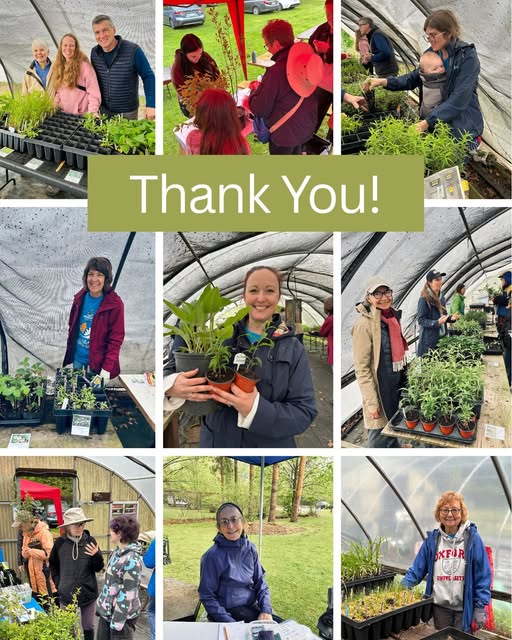 Malcolmson Eco-Park Native Plant Sale