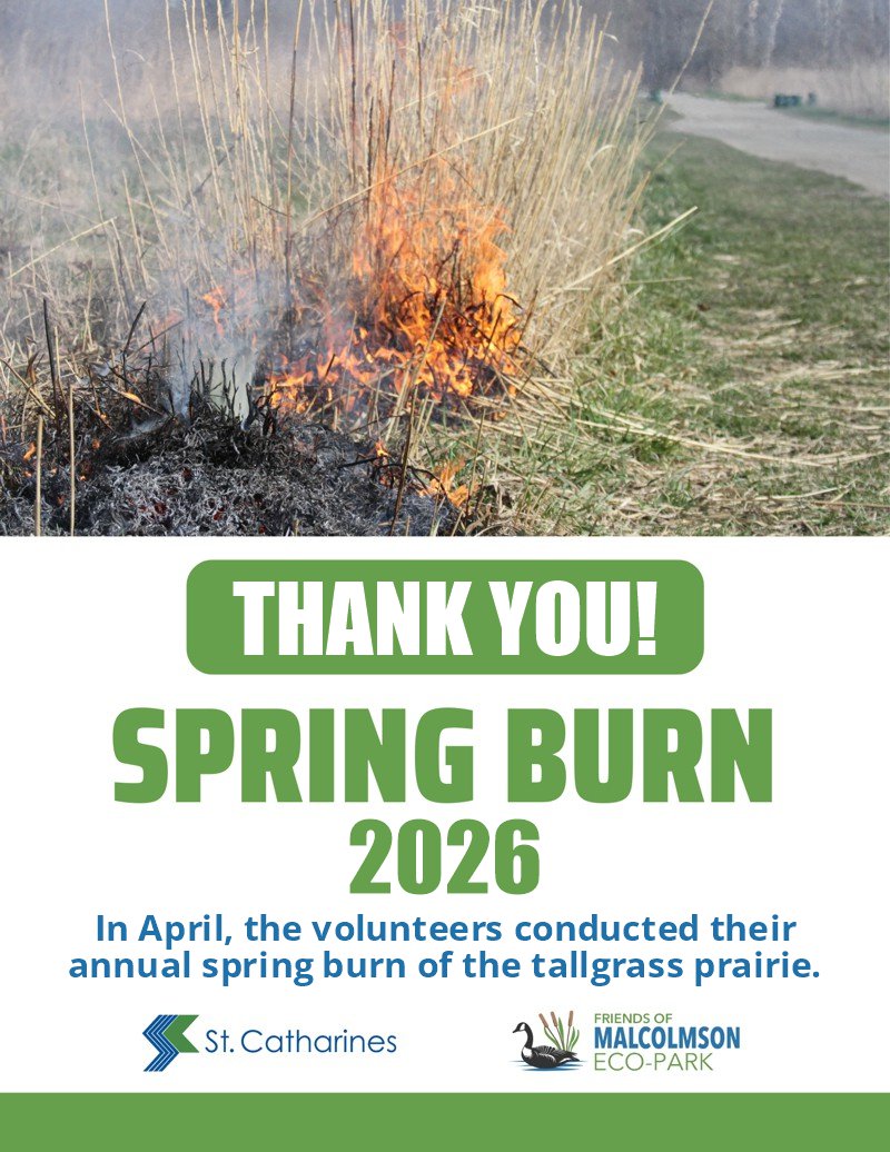 Spring Burn 2026